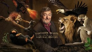 Legendás állatok: Tudományos tények háttérkép
