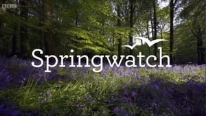 Springwatch kép