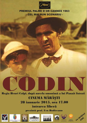 Codin poszter