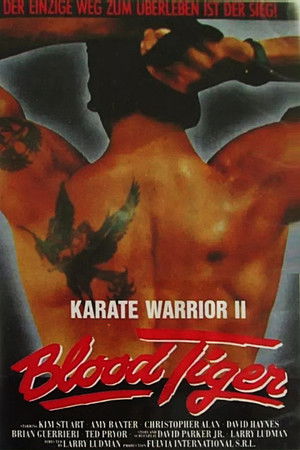 Karate harcos 2 poszter