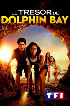The Curious Case of Dolphin Bay poszter