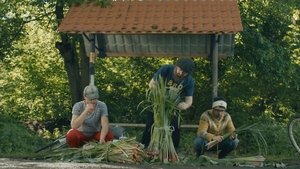 DZIDZIO: Павук háttérkép