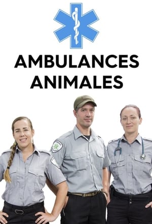 Ambulances animales