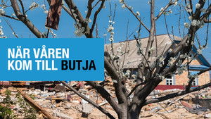 Коли весна прийшла в Бучу háttérkép