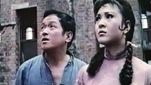山東大姐 háttérkép