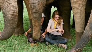 Love & Bananas: An Elephant Story háttérkép