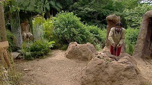 I'm a Celebrity...Get Me Out of Here! Season 6 Ep.6 6. epizód