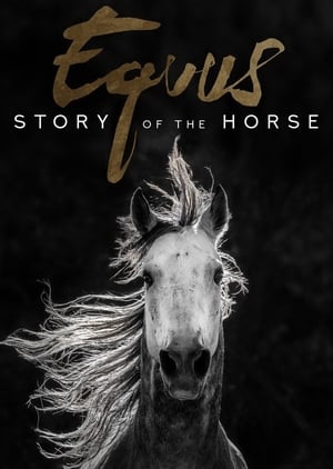 Equus, une histoire de chevaux et d'hommes poszter