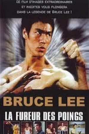 Bruce Lee: The Intercepting Fist poszter