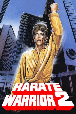 Karate harcos 2 poszter