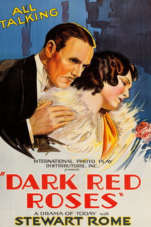 Dark Red Roses poszter