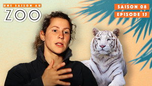 Une saison au zoo Season 8 Ep.15 15. epizód