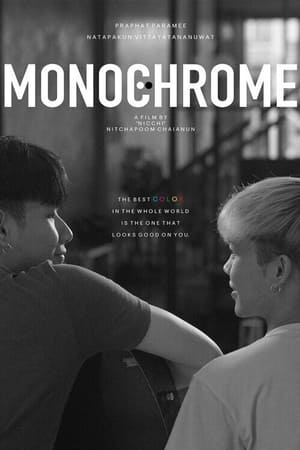 Monochrome กลิ่นสีเทา