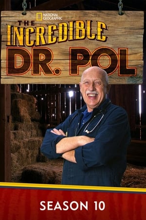 Dr. Pol állatklinikája