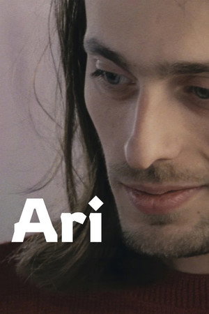 Ari poszter