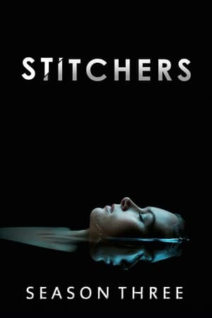 Stitchers - Az összefűzők