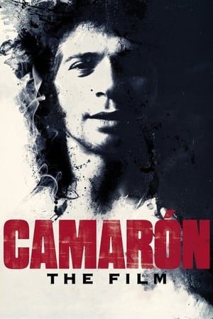 Camarón: Flamenco y revolución poszter