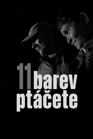 11 barev ptáčete