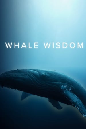 Whale Wisdom poszter