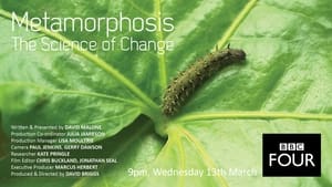 Metamorphosis: The Science of Change háttérkép