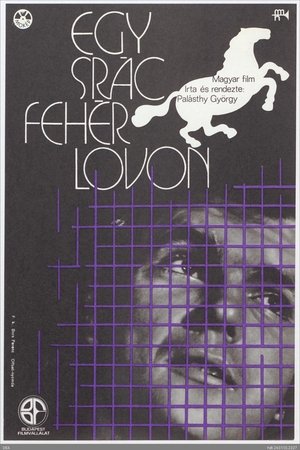 Egy srác fehér lovon