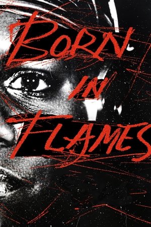 Born in Flames poszter