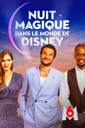 Nuit magique dans le monde de Disney poszter