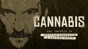 Cannabis : Une enquête de Mathieu Kassovitz et Antoine Robin háttérkép