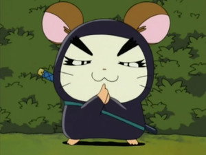 とっとこハム太郎 Season 1 Ep.88 88. epizód