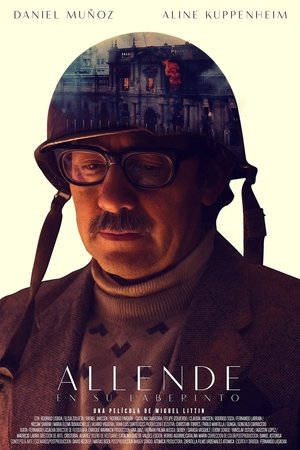 Allende en su laberinto poszter