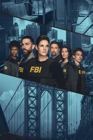 FBI: New York különleges ügynökei poszter