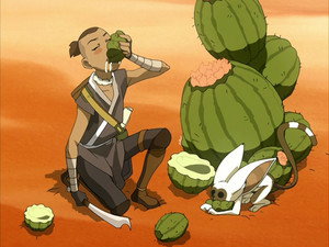 Avatár – Aang legendája Második könyv: Föld Ep.11 A sivatag
