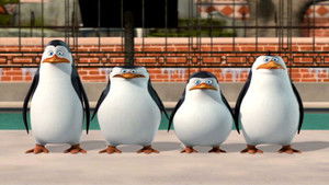 The Penguins of Madagascar: New to the Zoo háttérkép