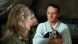 M*A*S*H 2. évad Ep.14 14. epizód