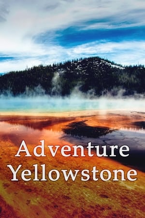 Adventure Yellowstone - Der Ruf der Wildnis poszter