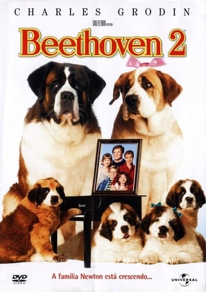 Beethoven 2 poszter