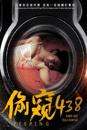 偷窥438 poszter