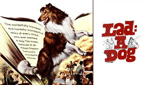 Lad: A Dog háttérkép