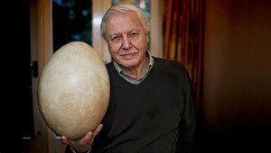Az elefántmadár nyomában David Attenborough-val háttérkép