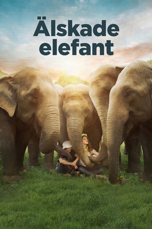 Love & Bananas: An Elephant Story poszter