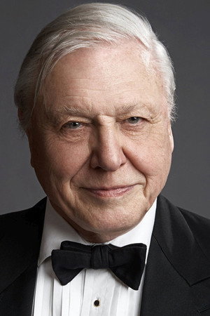 David Attenborough profil kép