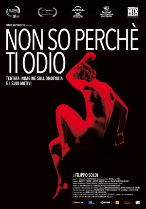 Non so perché ti odio poszter