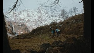 Foto di gruppo háttérkép