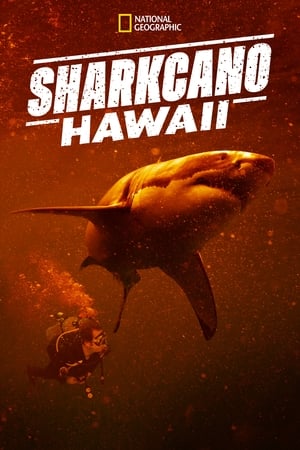 Sharkcano: Hawaii poszter