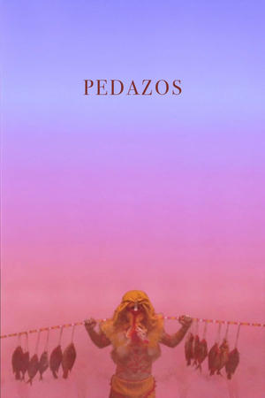 Pedazos