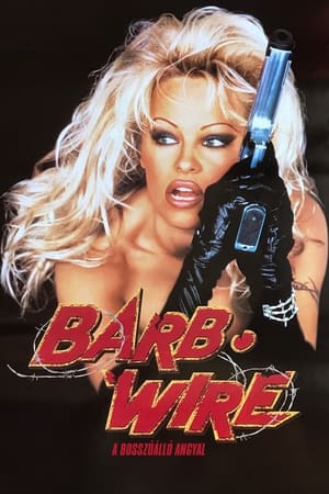 Barb Wire - A bosszúálló angyal