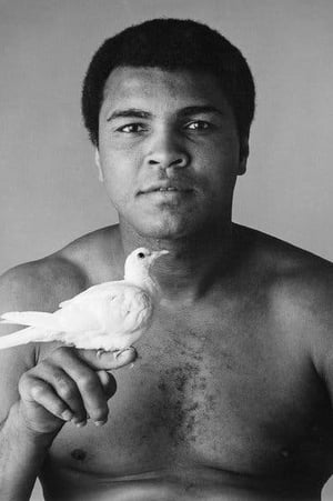 Muhammad Ali profil kép