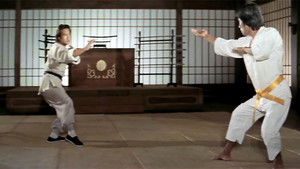 霍元甲 háttérkép