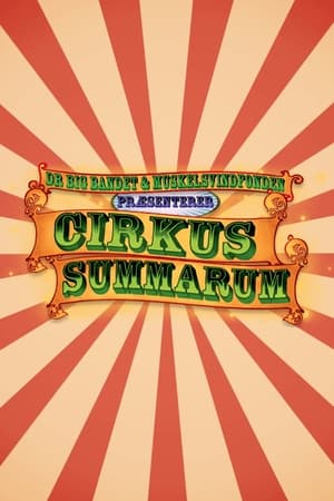 Cirkus Summarum poszter