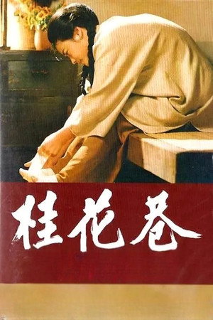 桂花巷 poszter